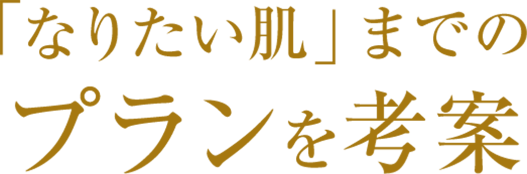 「なりたい肌」までの
プランを考案