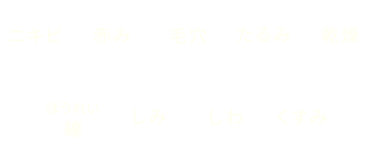 ニキビ・赤み・毛穴・たるみ・乾燥・ほうれい線・しみ・しわ・くすみ